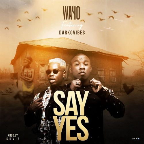 Wayo – Say Yes Ft. Darkovibes mp3 download