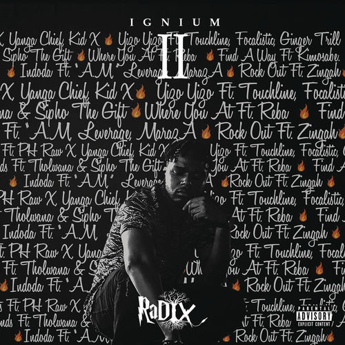 DJ Radix – Rock Out Ft. Zingah mp3 download