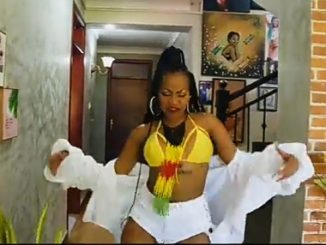 Sheebah – Nakyuka (Audio + Video)