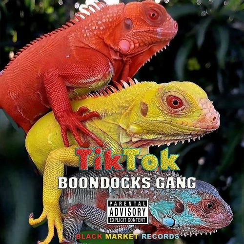 Boondocks Gang – TikTok  mp3 download