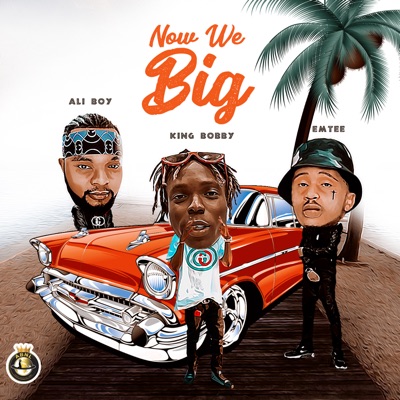 King Bobby – Now We Big Ft. Emtee, Ali Boy mp3 download