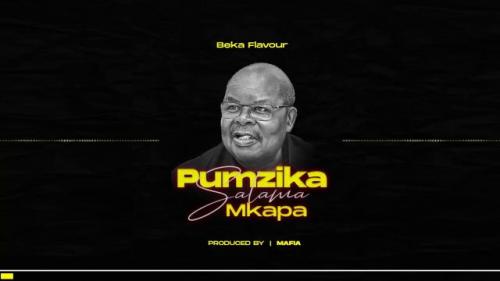 Beka Flavour – Pumzika Salama Mkapa mp3 download