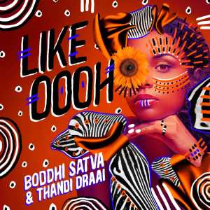 Boddhi Satva & Thandi Draai – Like Oooh mp3 download