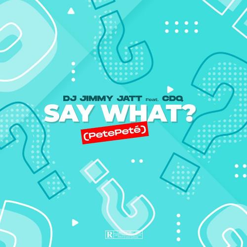 DJ Jimmy Jatt Ft. CDQ – Say What? (PetePete) mp3 download