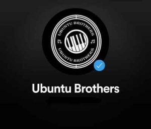 Ubuntu Brothers – Party Invader mp3 download