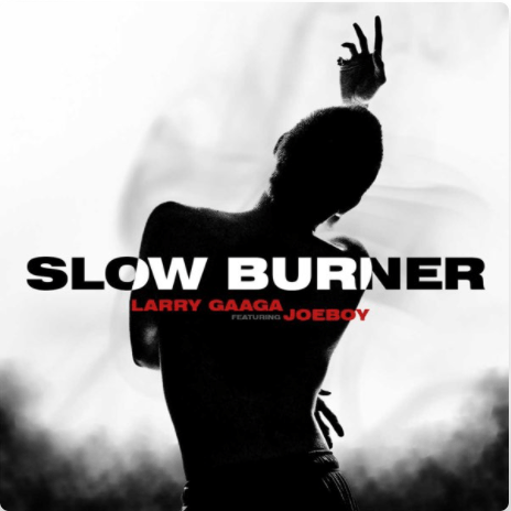 Larry Gaaga Ft. Joeboy – Slow Burner mp3 download