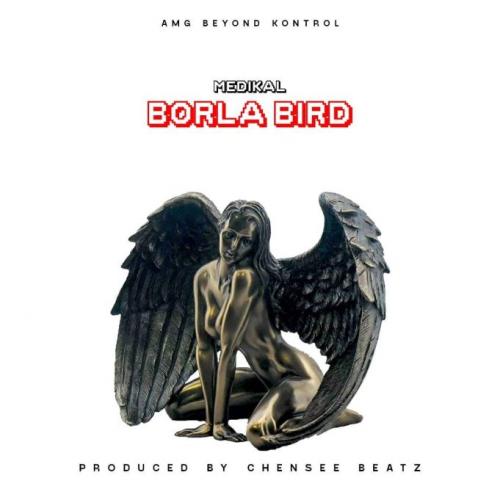 Medikal – Borla Bird mp3 download