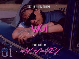 Digga D – Woi (Instrumental) mp3 download