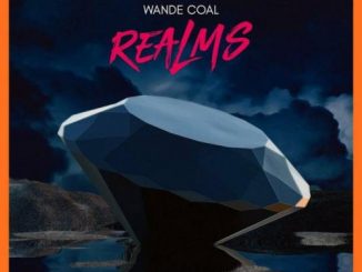 Wande Coal – Check