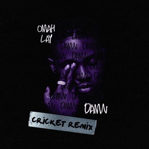 Omah Lay – Damn (Cricket Remix) mp3 download