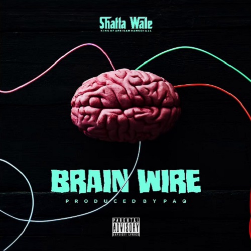 Shatta Wale – Brain Wire (Freestyle) mp3 download