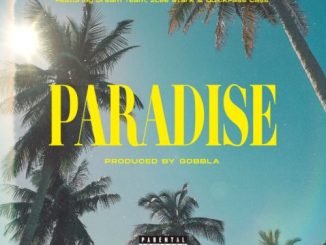 DJ Kaygo - Paradise Ft. DreamTeam, 2Lee Stark, Quickfass Cass Mp3 Download