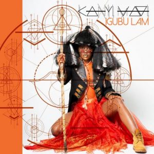 Kanyi Mavi – Umsindo Ft. Le Roi Alekpehnahou mp3 download