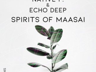 Native P. & Echo Deep - Spirits Of Maasai