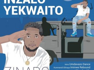Zinaro - Umdavazo Dance Ft. Gudman