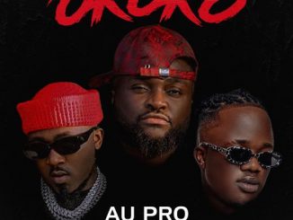 Au Pro - Okoko Ft. Ice Prince, Jamopyper