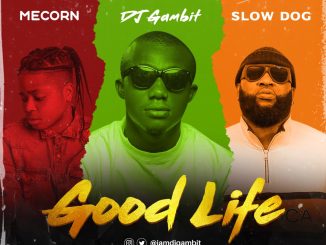 DJ Gambit - Good Life Ft. Mecorn x SlowDog Mp3 download