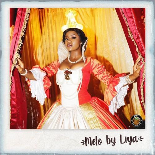 DMW Records Present: Liya – Melo