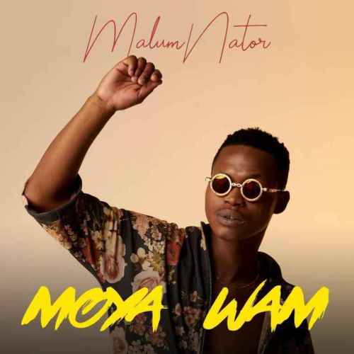 MalumNator – Aw’Yebo Ft. De Mthuda, Ntokzin & MFR Souls mp3 download