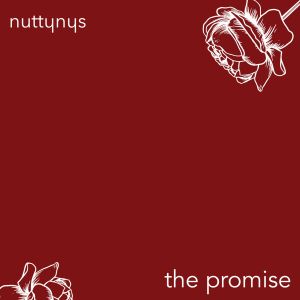 Nutty Nys – The Promise mp3 download