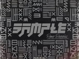 Remy Baggins - Sample