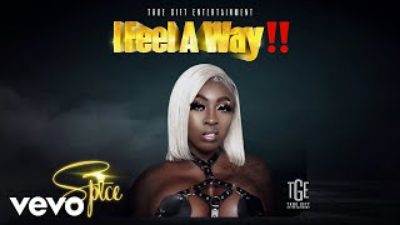 Spice – I Feel A Way mp3 download
