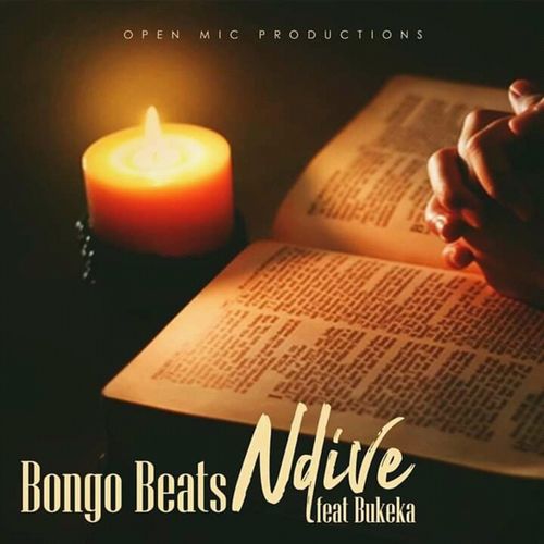 Bongo Beats – Ndive Ft. Bukeka