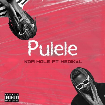 Kofi Mole – Pulele Ft. Medikal mp3 download