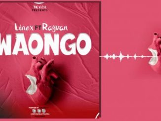 Linex Ft. Rayvan - Waongo
