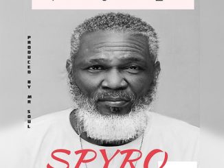 Spyro - 102