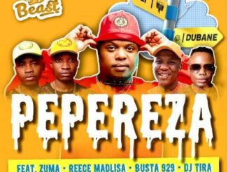 Beast - Pepereza Ft. Zuma, Reece Madlisa, Busta 929, DJ Tira