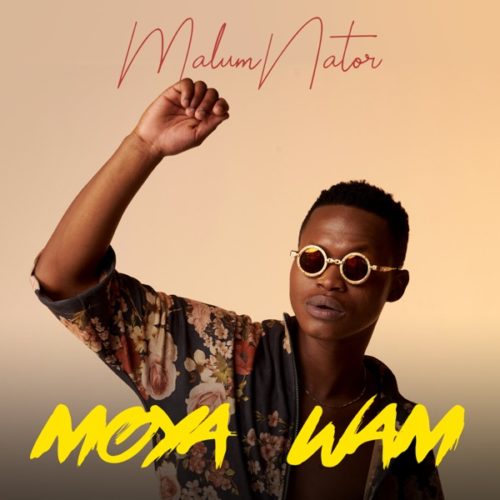 Malumnator – Umoya Wam Ft. The Majestic, De Mthuda, Ntokzin mp3 download