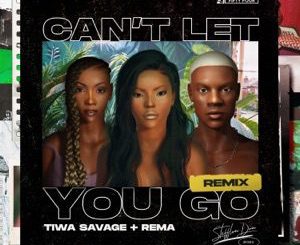Stefflon Don - Cant Let You Go (Remix) Ft. Rema, Tiwa Savage
