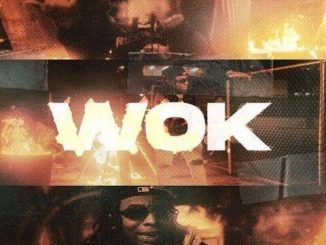 Lil Gotit – Wok