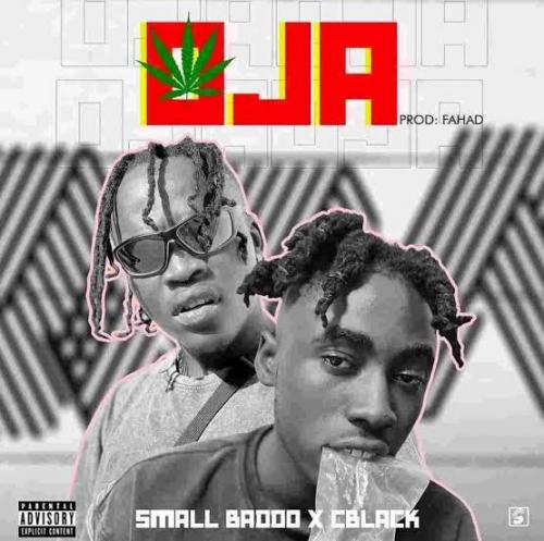 Small Baddo – Oja Ft. C Blvck mp3 download