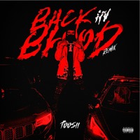 Toosii – Back In Blood Ft. Pooh Shiesty & Lil Durk Remix