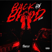 Toosii – Back In Blood (Pooh Shiesty Ft. Lil Durk Remix)