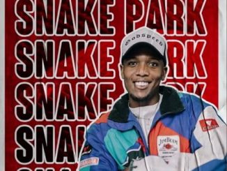 Cyfred - Snake Park Ft. Mr JazziQ, Mellow, Sleazy, Seekay, Fake Love