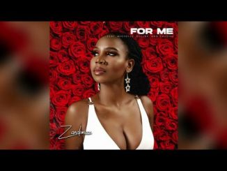 DJ Zandimaz - For Me