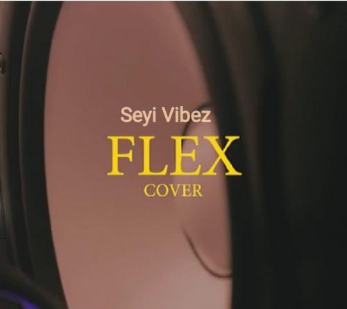 Seyi Vibez – Flex (Cover) mp3 download