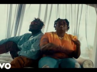 VIDEO: Mr Dutch, Teni - Keys to My Heart Afrique (Remix)