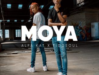 Alfa Kat & TidoSoul – Asambeni Ft. Costa Titch, NELCNO, Clumsy