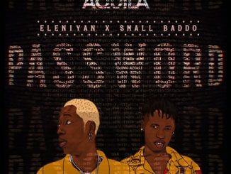 Eleniyan – Password Ft. Small Baddo