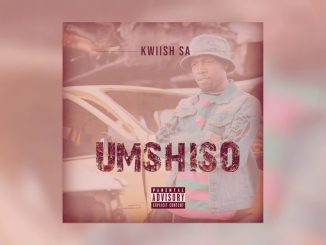 Kwiish SA Ft. Malumnator, Njelic, De Mthuda – Liyoshona