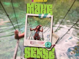 Darkovibes – Make Sense Ft. Quamina MP