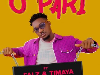 Dj Shawn – O Pari Ft. Falz, Timaya