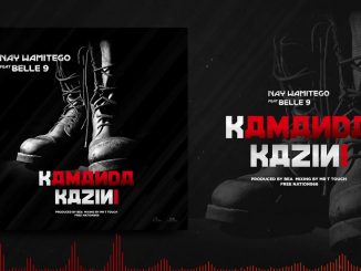 Nay Wamitego Ft. Belle9 – Kamanda Kazini