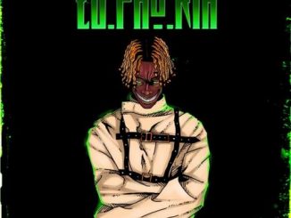 PsychoYP – Euphoria