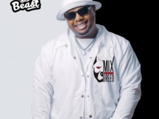Beast – eDubane Ft. Reece Madlisa, Zuma & Busta 929