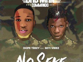 Dope Teezy Ft. Seyi Vibez – No Seke